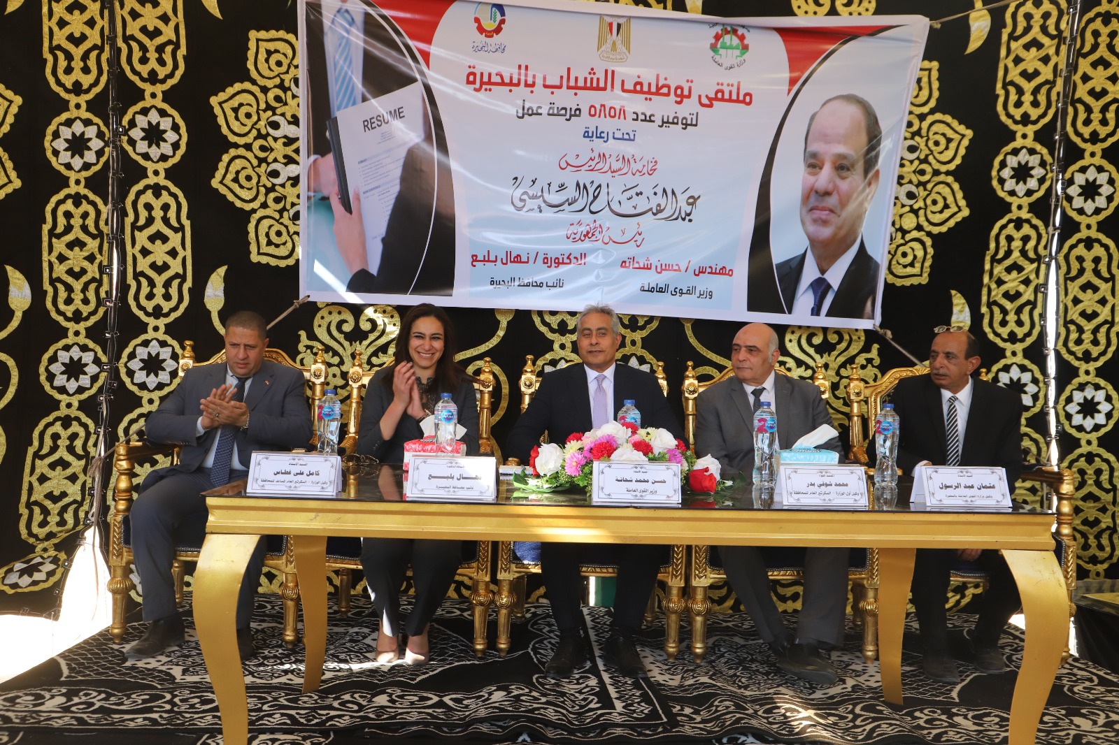 وزير القوى العامله 